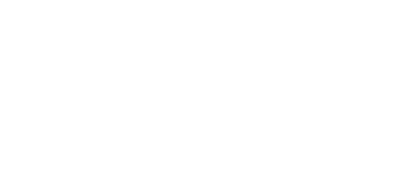 ASHLEI HAIR CO